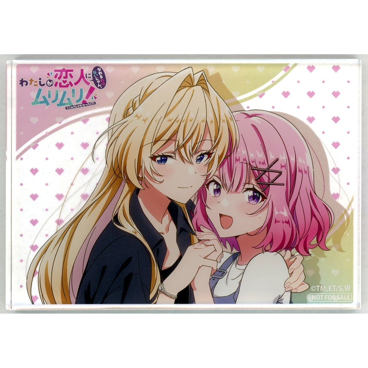 Renako Amaori & Mai Ouzuka Anime Illustration Acrylic Block Blu-ray There's No Way I Can Have a Lover! Or Maybe There Is!? Animate Vol. 1-3 Linked Purchase Bonus [USED]