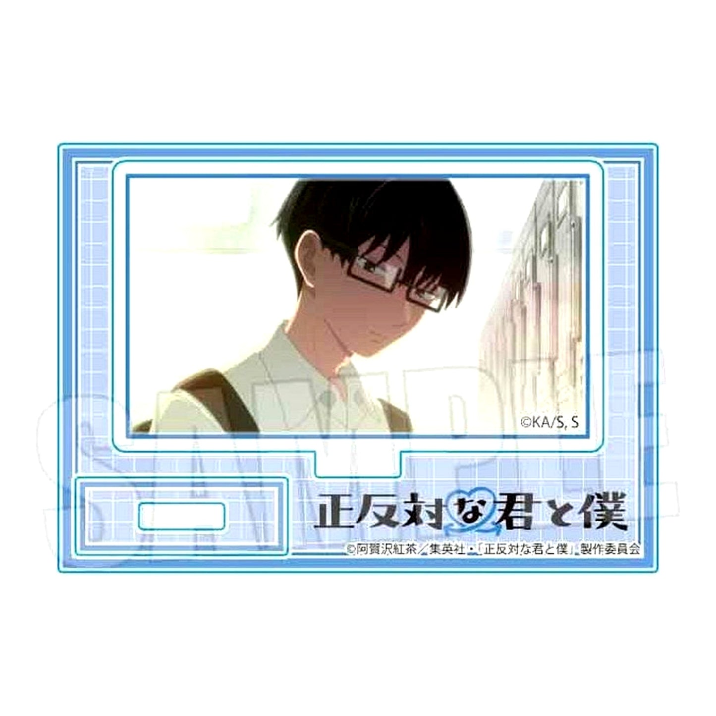 Yusuke Tani Mini Stand TV Anime You and I Are Polar Opposites [USED]