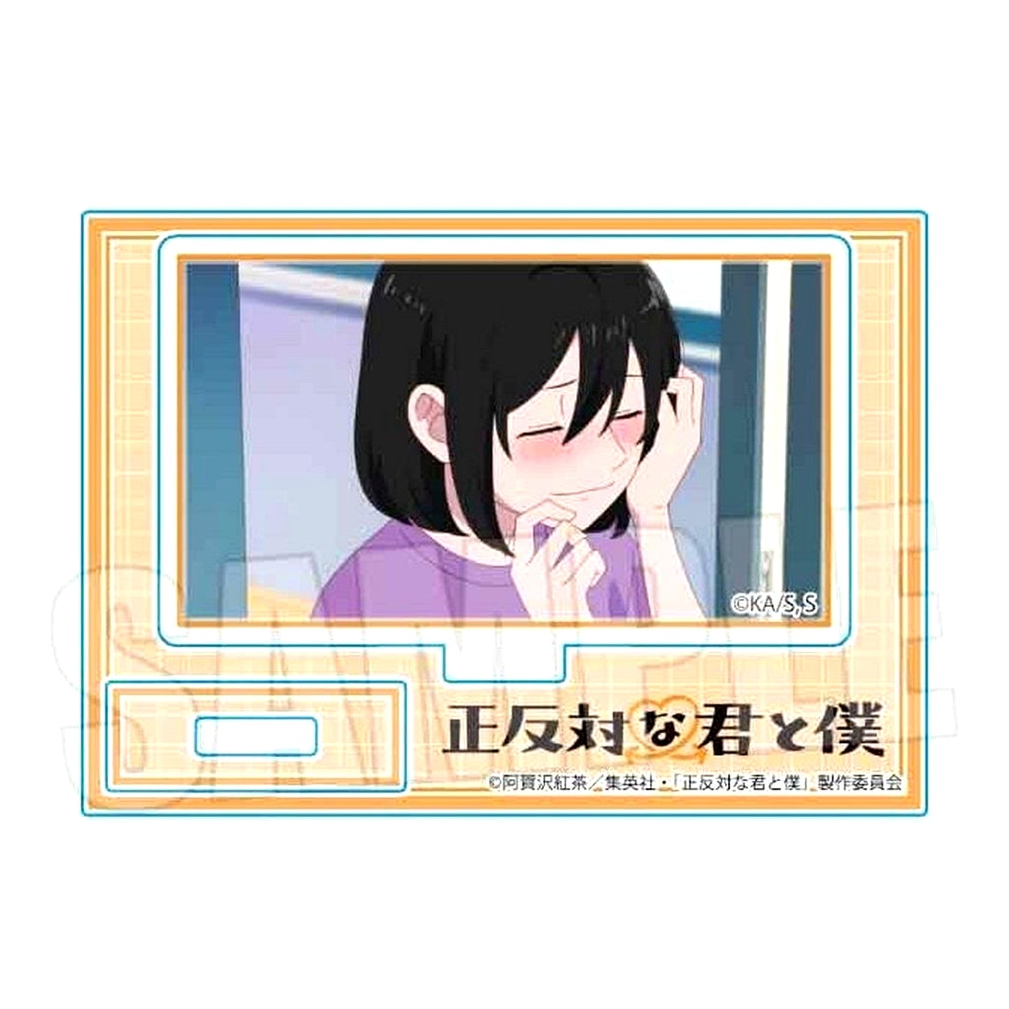 Natsumi Nishi Mini Stand TV Anime You and I Are Polar Opposites [USED]