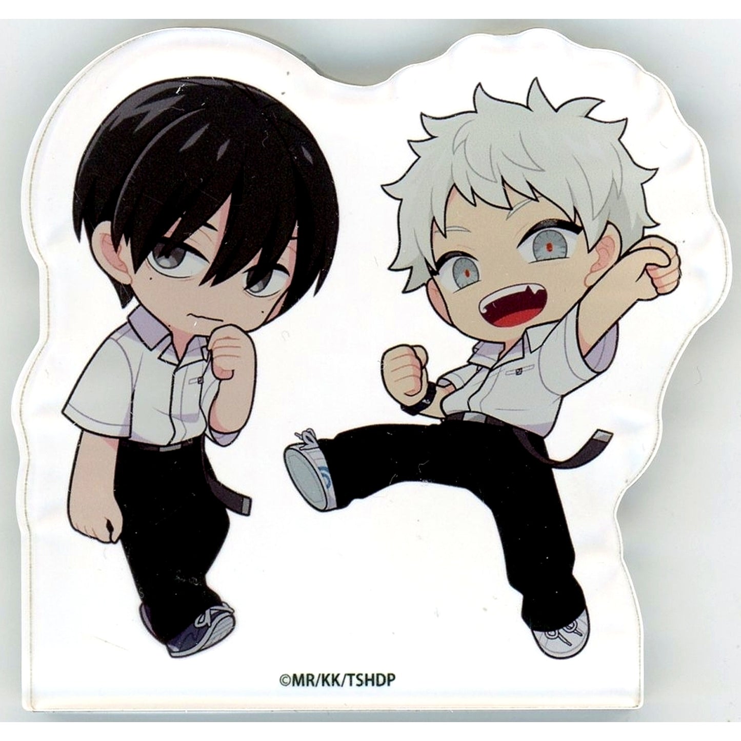 Yoshiki Tsujinaka & Hikaru Acrylic Block Illustration The Summer Hikaru Died [USED]