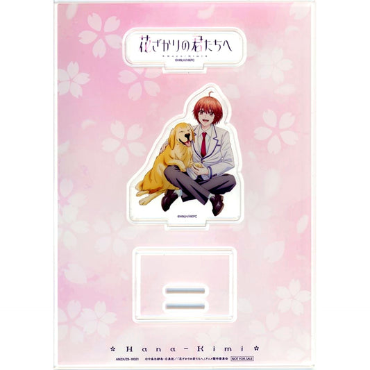 Jacket Illustration Acrylic Stand Bonus Item for Hanazakari no Kimitachi e Blu-ray Disc DVD BOX Vol.1 Limited Edition [USED]