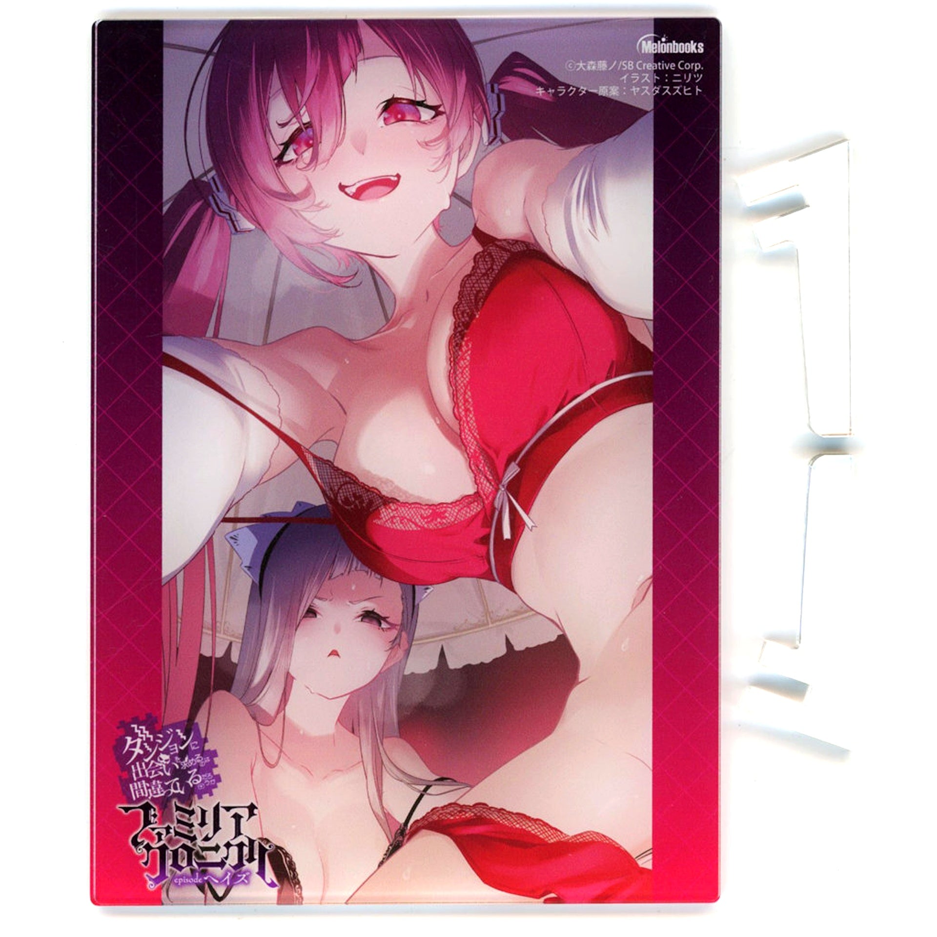 Niritsu Illustration Mini Acrylic Panel Bonus for Light Novel Is It Wrong to Try to Pick Up Girls in a Dungeon? Familia Chronicle Episode Heith [USED]