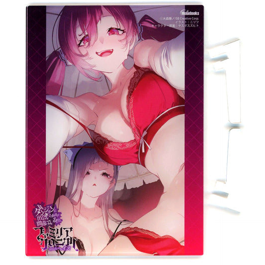 Niritsu Illustration Mini Acrylic Panel Bonus for Light Novel Is It Wrong to Try to Pick Up Girls in a Dungeon? Familia Chronicle Episode Heith [USED]