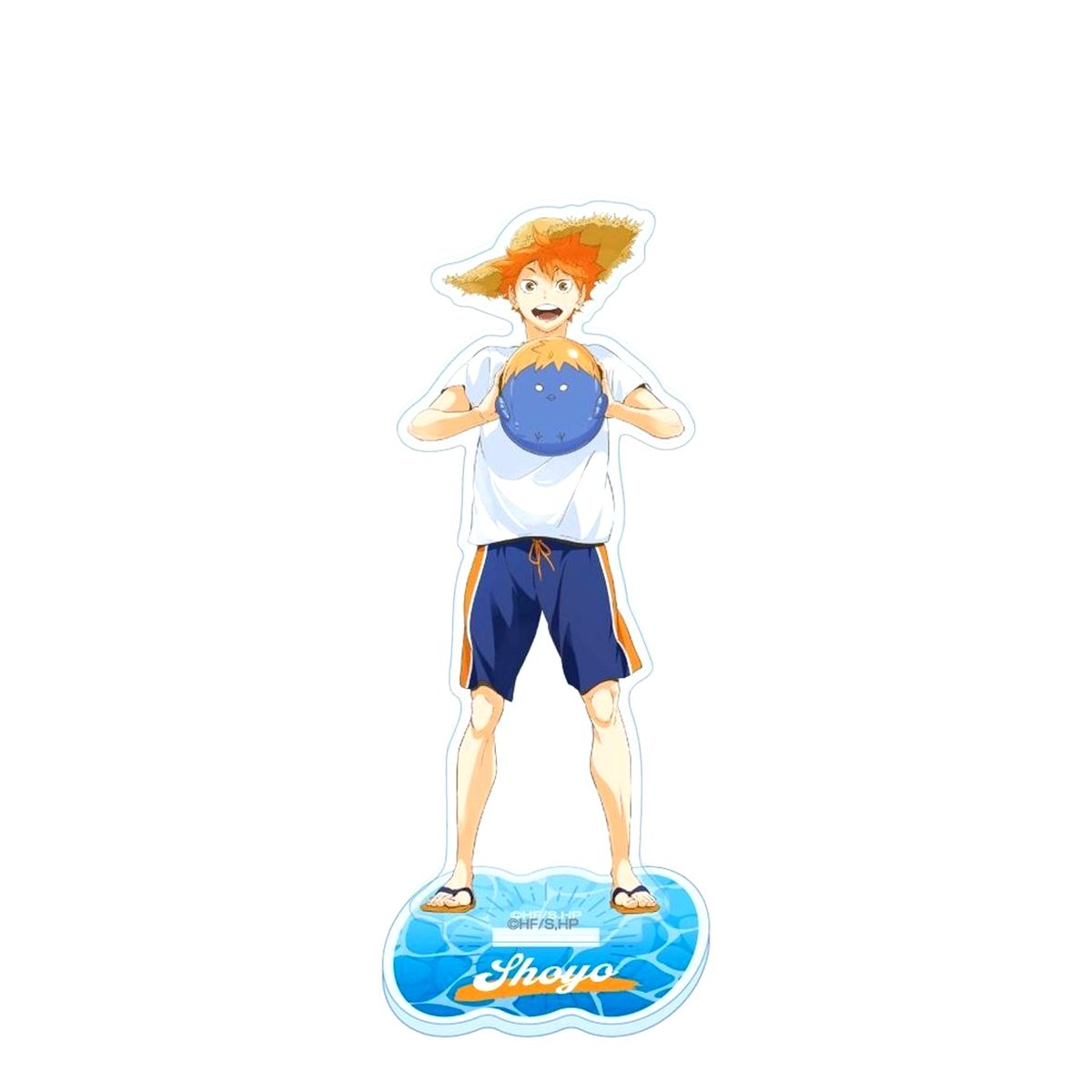 Shoyo Hinata Haikyu!! Acrylic Stand Beach Ball Ver. [USED]
