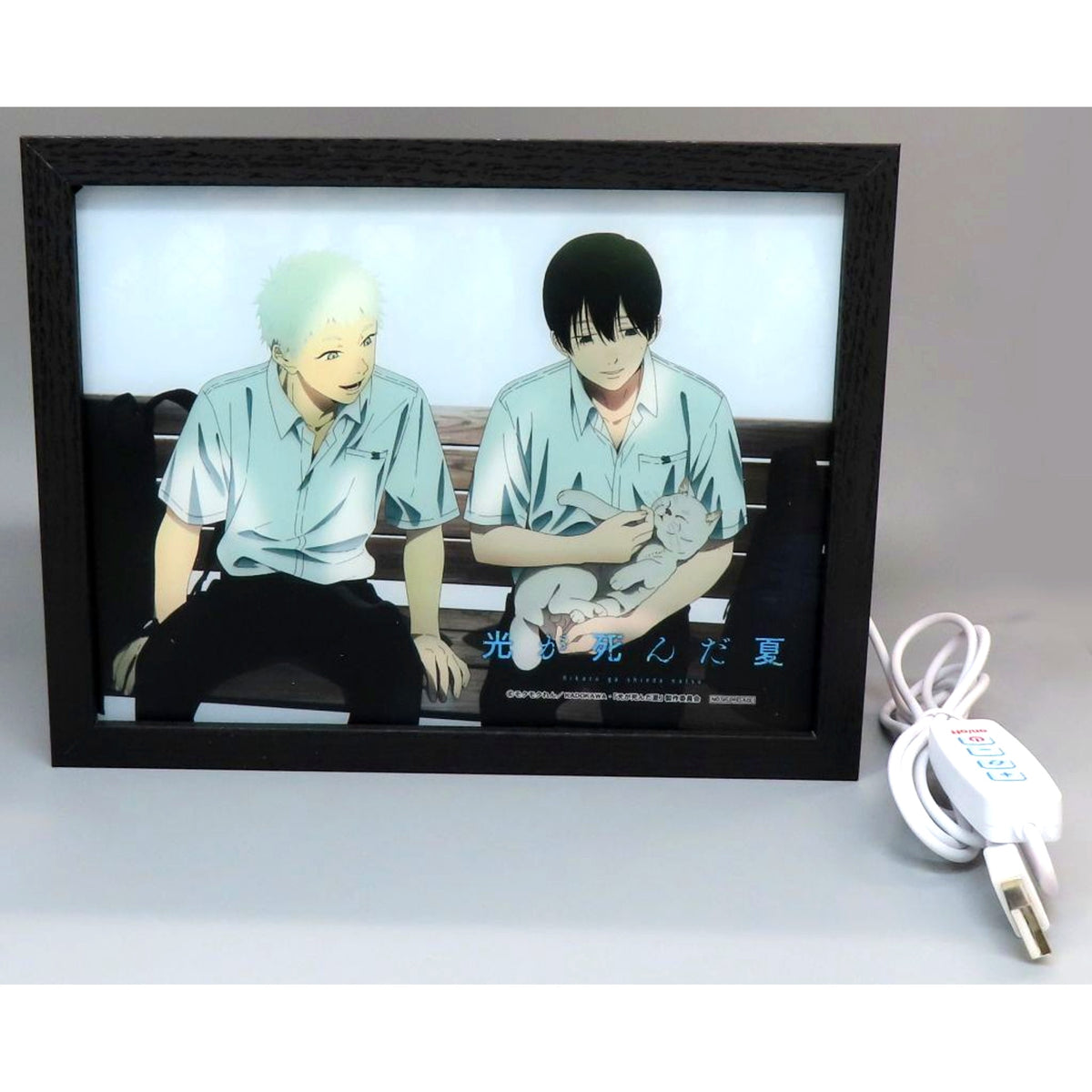Yoshiki Tsujinaka, Hikaru Anime Illustration Glowing Art Panel Blu-ray DVD The Summer Hikaru Died Rakuten Books All Volumes Purchase Bonus [USED]