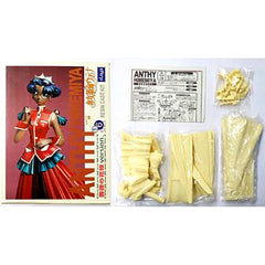 Anthy Himemiya Ver.2 Rose Bride Version Revolutionary Girl Utena 1/6 Resin Cast Kit [USED]