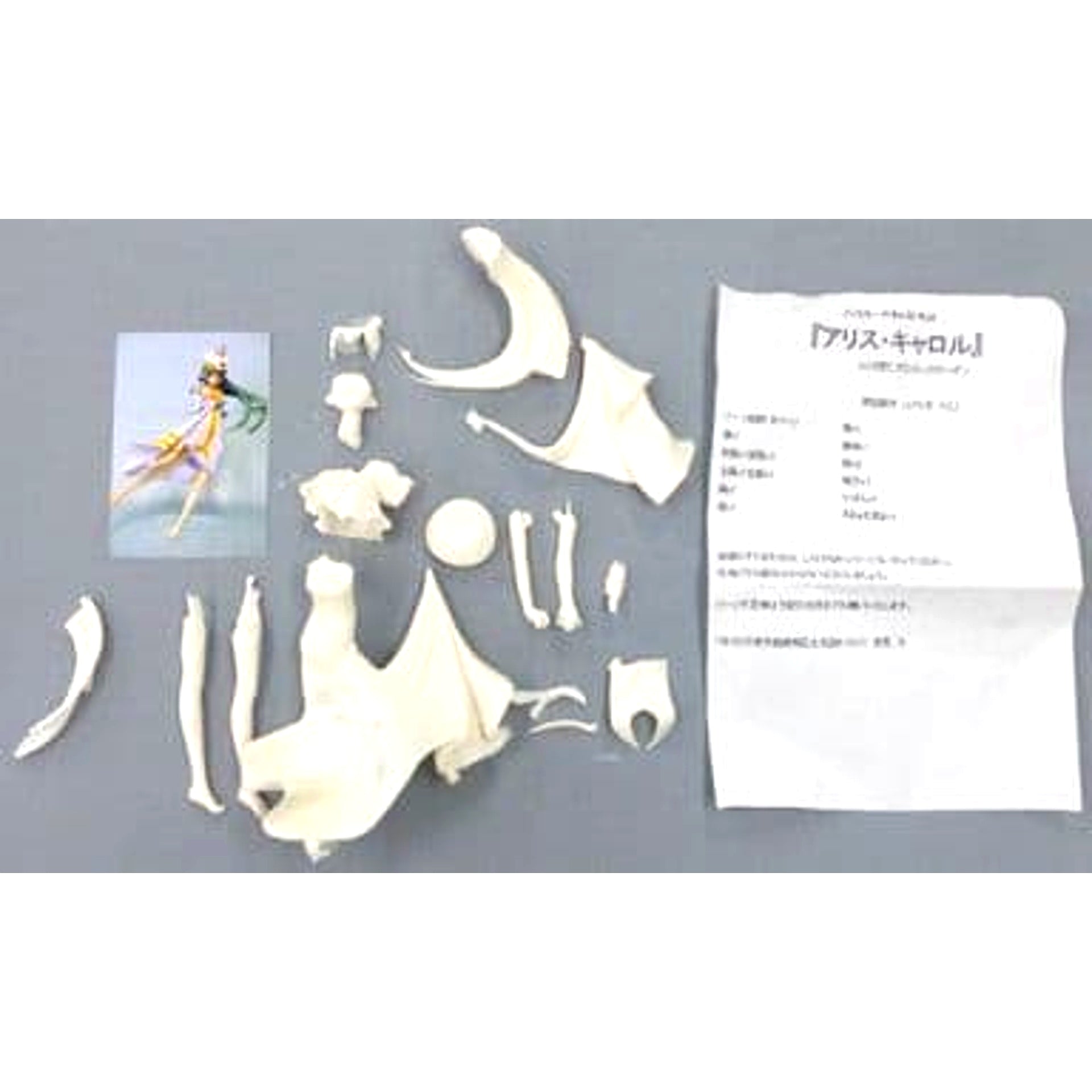 Alice Carroll ARIA Resin Cast Kit [USED]