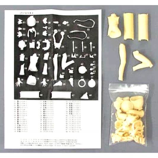 Pratty Summon Night Swordcraft Story 1/8 Resin Cast Kit [USED]