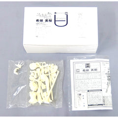 Mio Kisaki Walkure Romanze A-brand No.34 1/8 Resin Cast Kit Volks Shop & Hobby Tengoku Web Limited [USED]