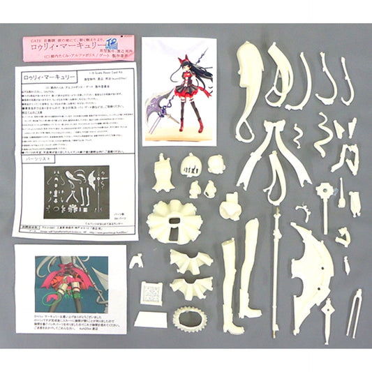 Rory Mercury GATE Jieitai Kanochi nite Kaku Tatakaeri 1/8 Resin Cast Kit [USED]