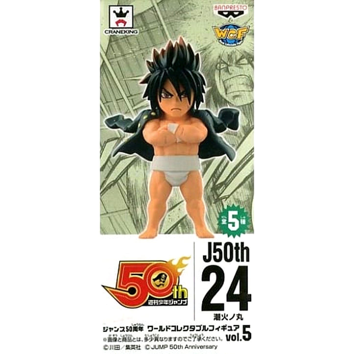 Hinomaru Sumo Ushio Hinomaru Jump 50th Anniversary World Collectable Figure vol.5 [USED]