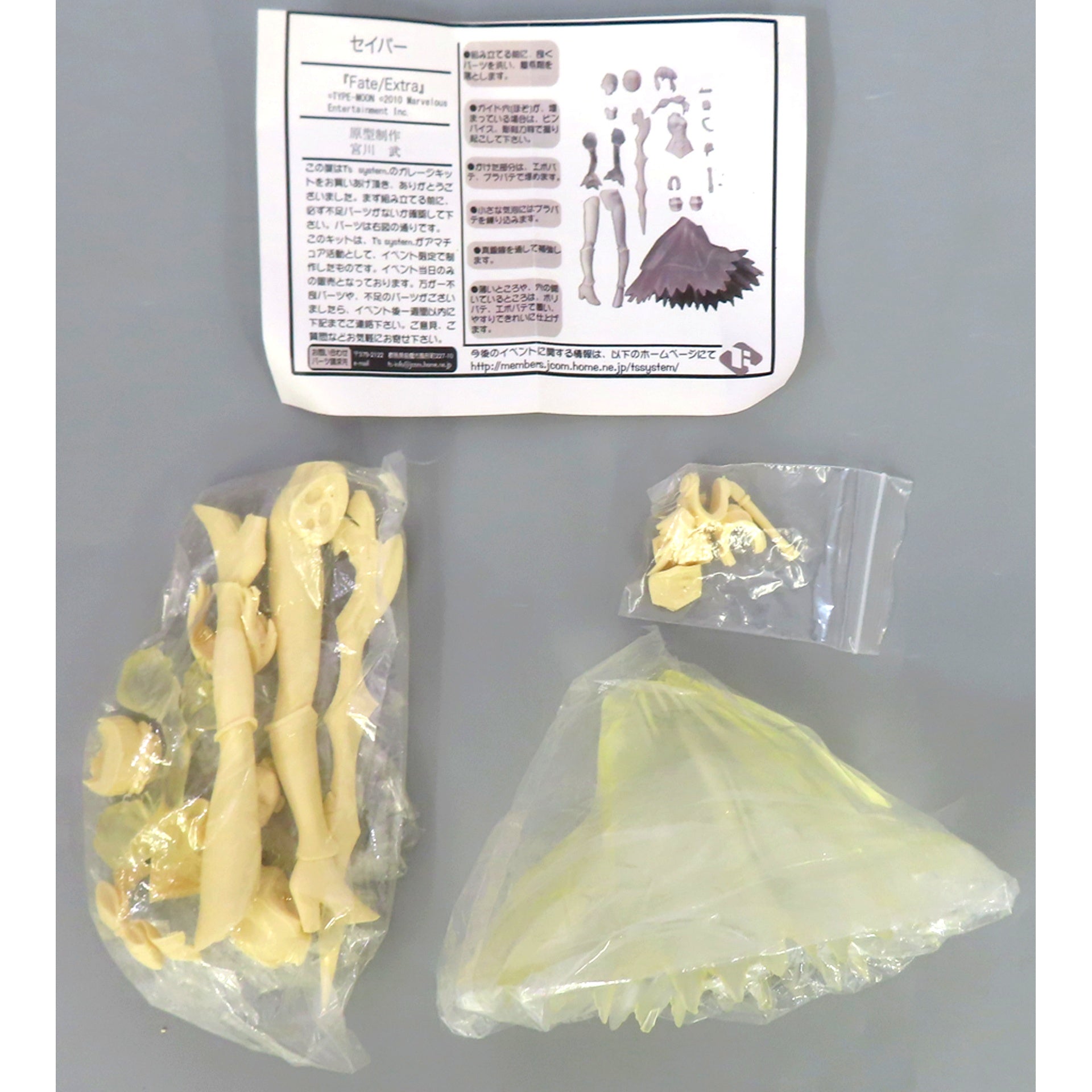 Saber Fate/EXTRA 1/6 Resin Cast Kit Wonder Festival 2010 Summer & Event Limited [USED]