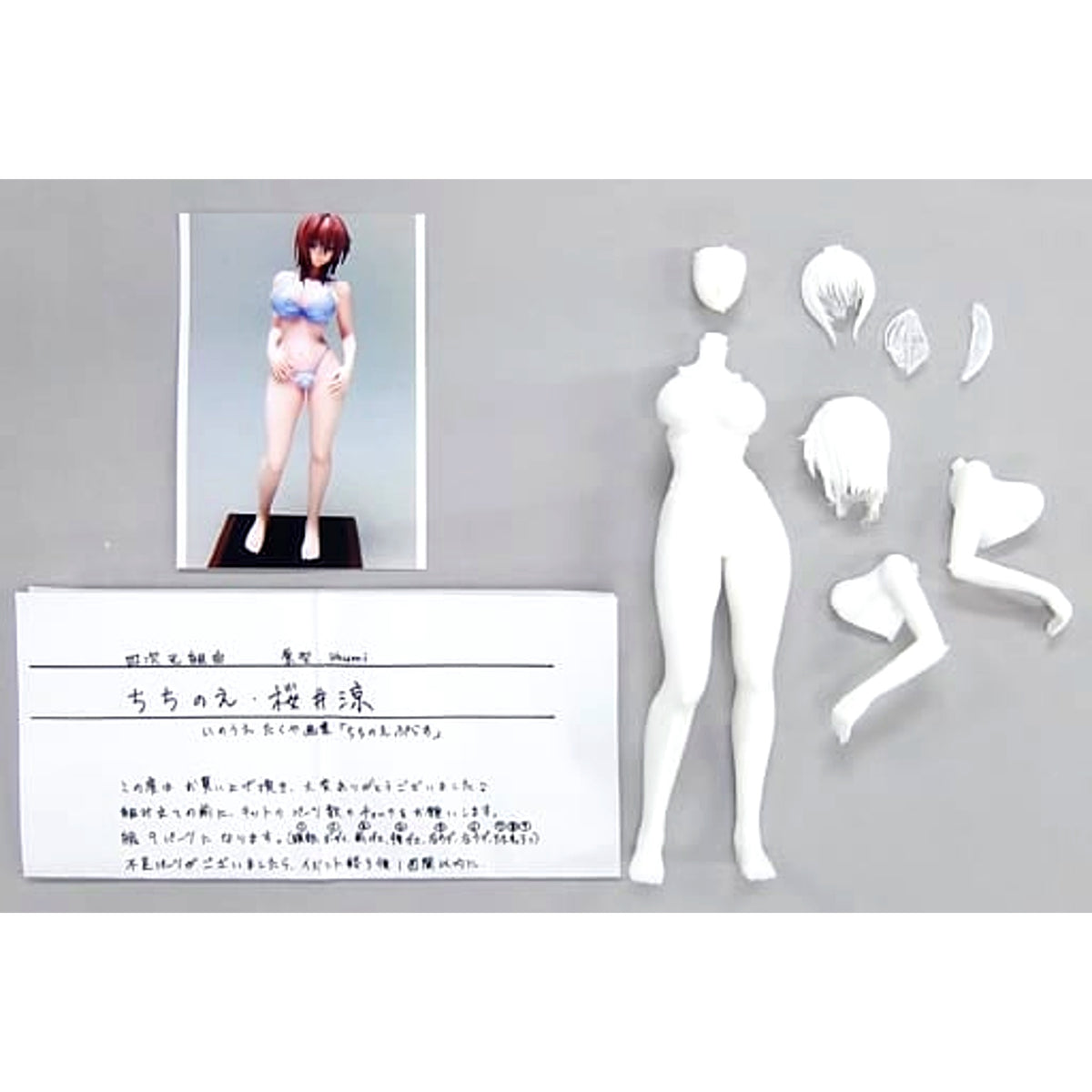 Ryo Sakurai Chichinoe Resin Cast Kit 1/7 Scale [USED]