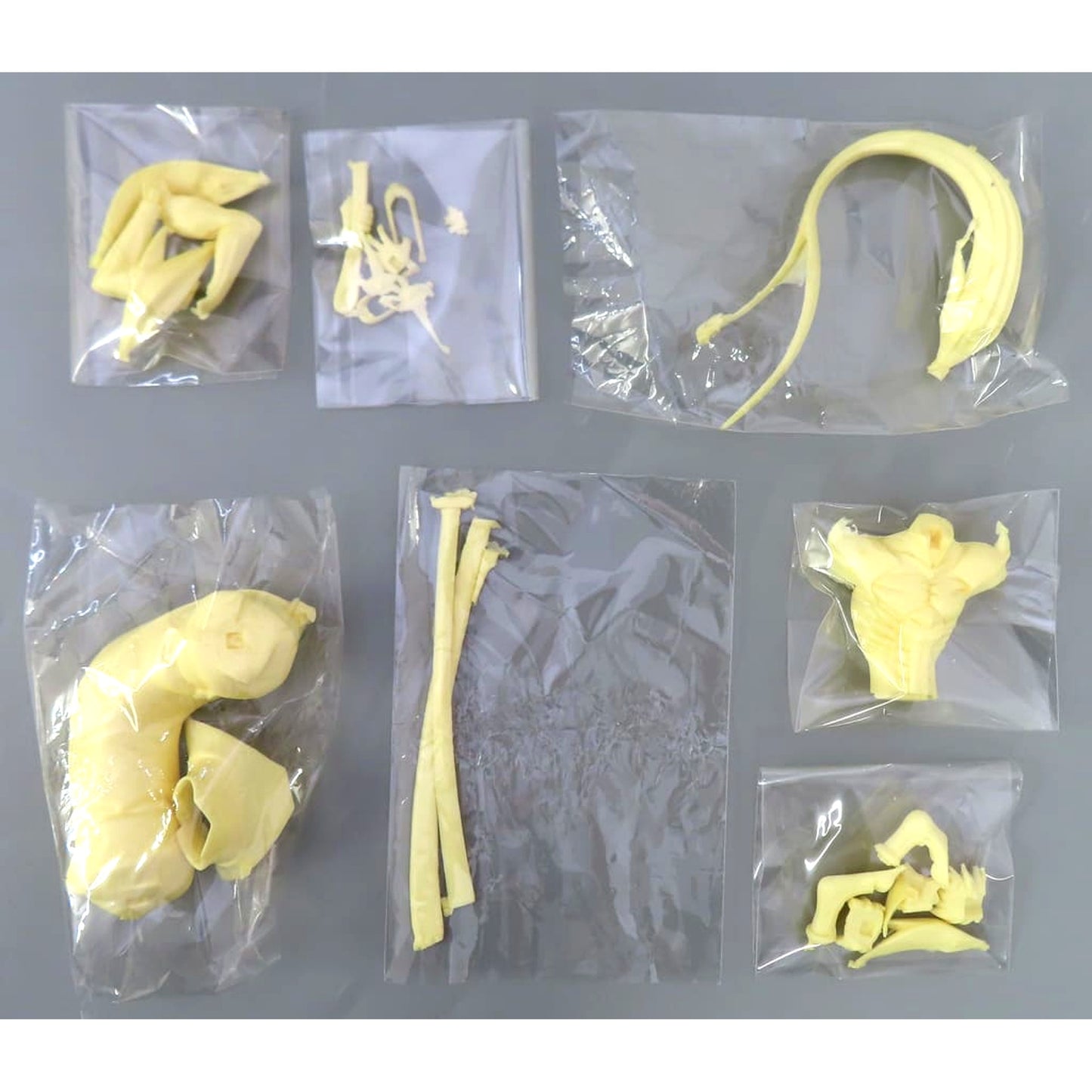 BlazBlue: Calamity Trigger Hakumen Resin Cast Kit Wonder Festival 2011 Summer & Event Limited [USED]