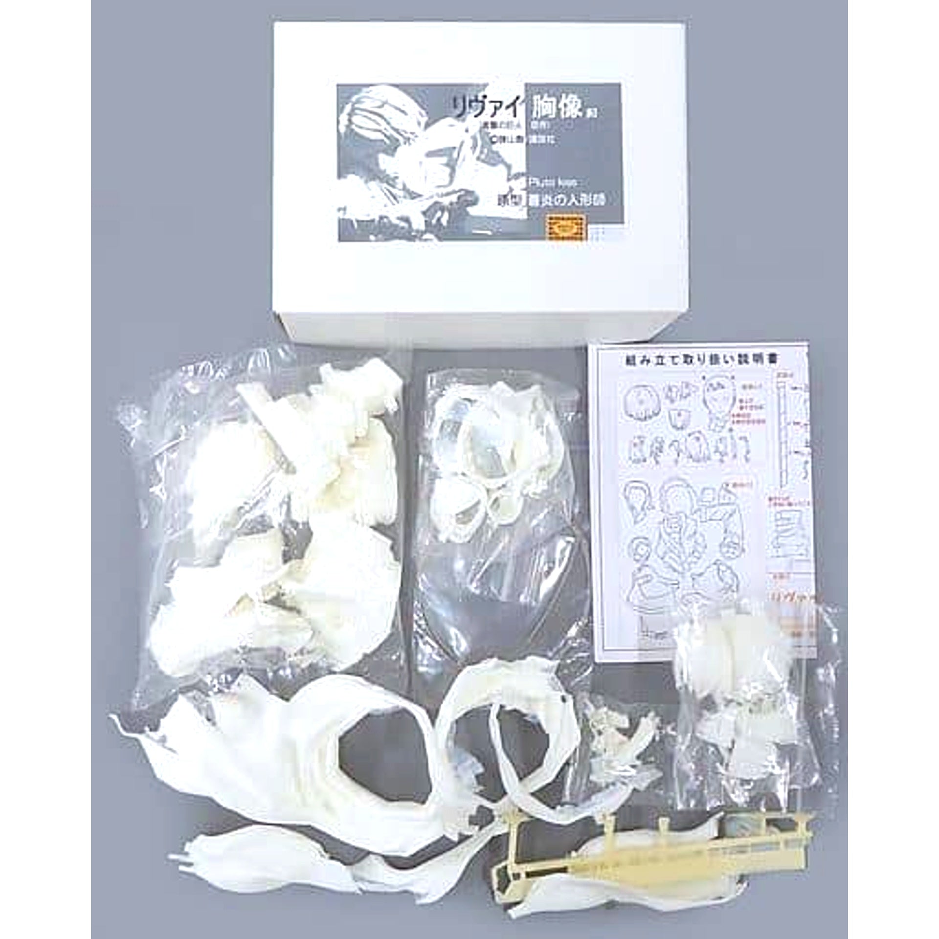 Attack on Titan Levi Bust Garage Kit Wonder Festival 2016 Summer & Event Limited [USED]