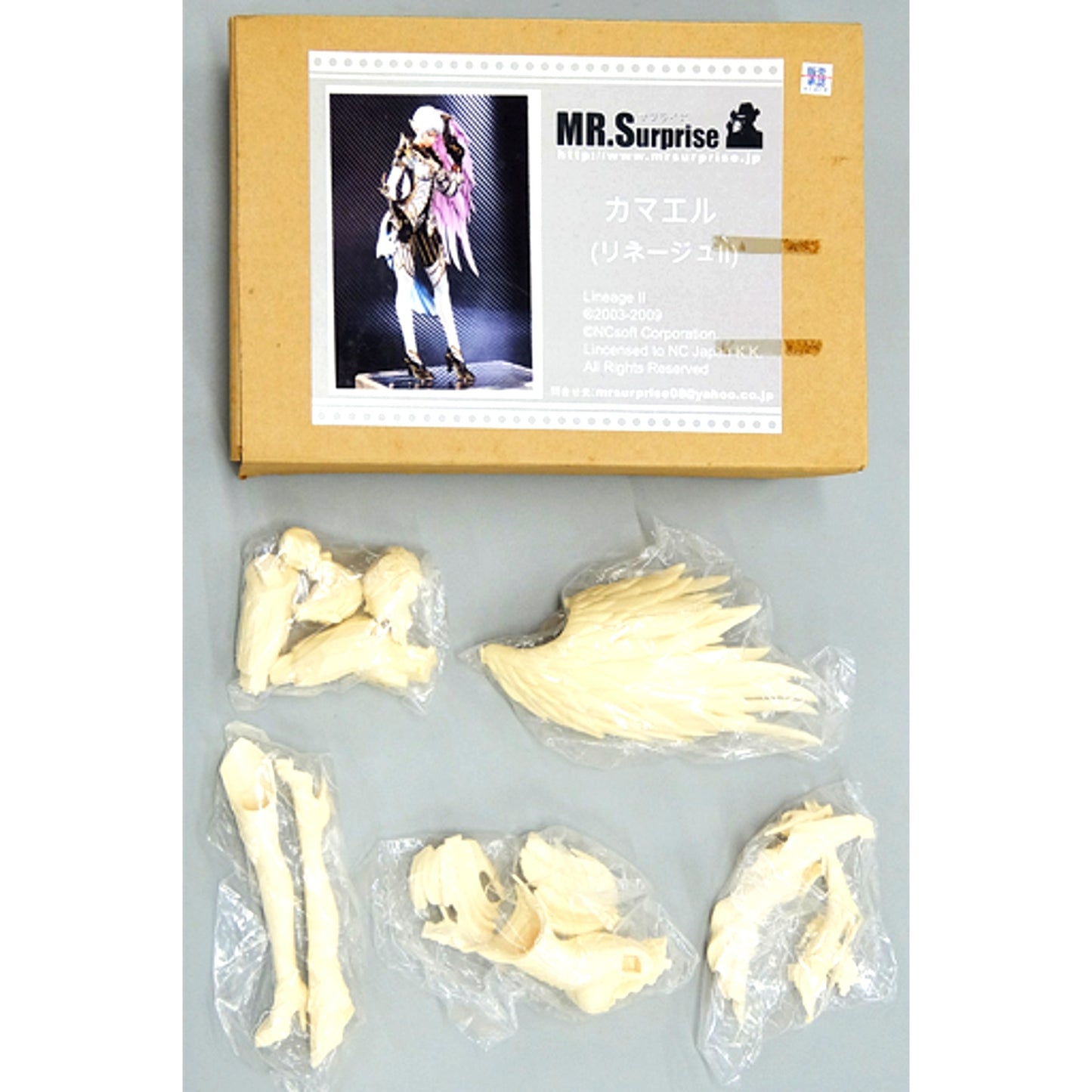 Kamael Lineage II 1/6 Resin Cast Kit Wonder Festival 2011 Winter Limited [USED]