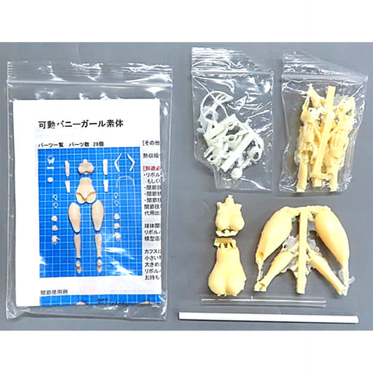 Movable Bunny Girl Body Color Resin Cast Kit [USED]