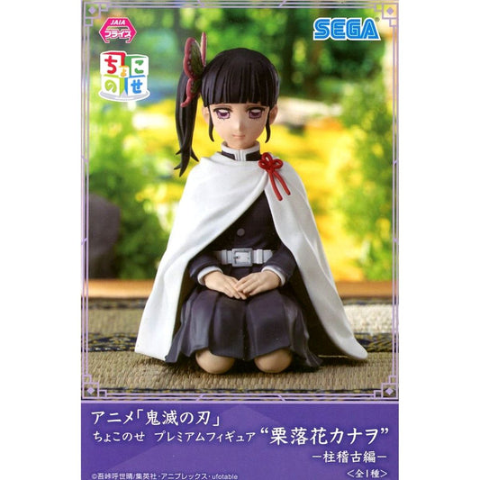 Kanao Tsuyuri Demon Slayer: Kimetsu no Yaiba Chokonose Premium Figure Pillar Training Edition [USED]