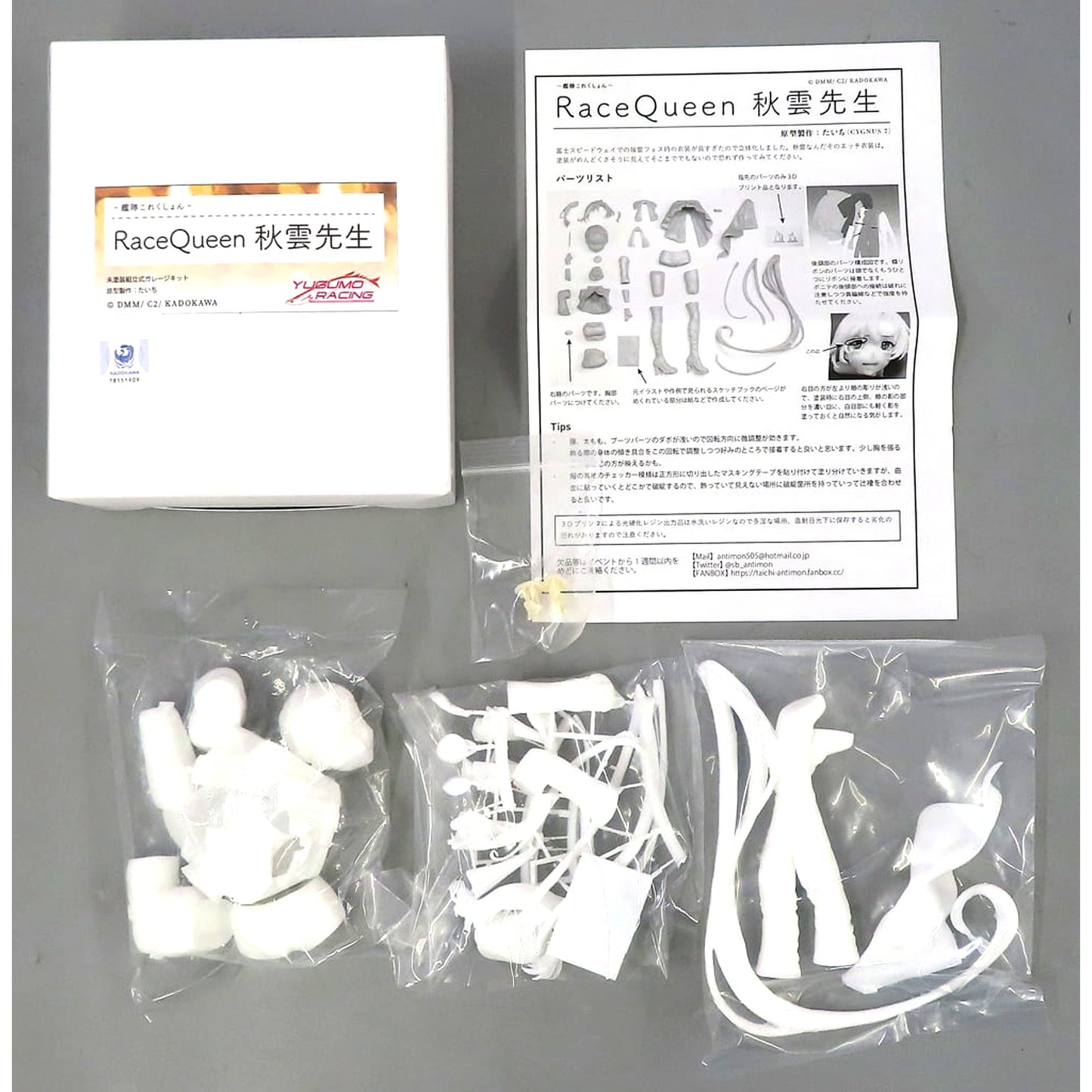 Akigumo Sensei Race Queen Kantai Collection KanColle Garage Kit [USED]