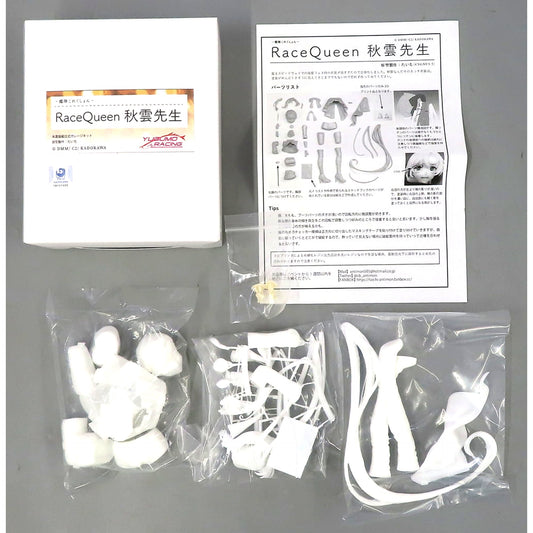 Akigumo Sensei Race Queen Kantai Collection KanColle Garage Kit [USED]