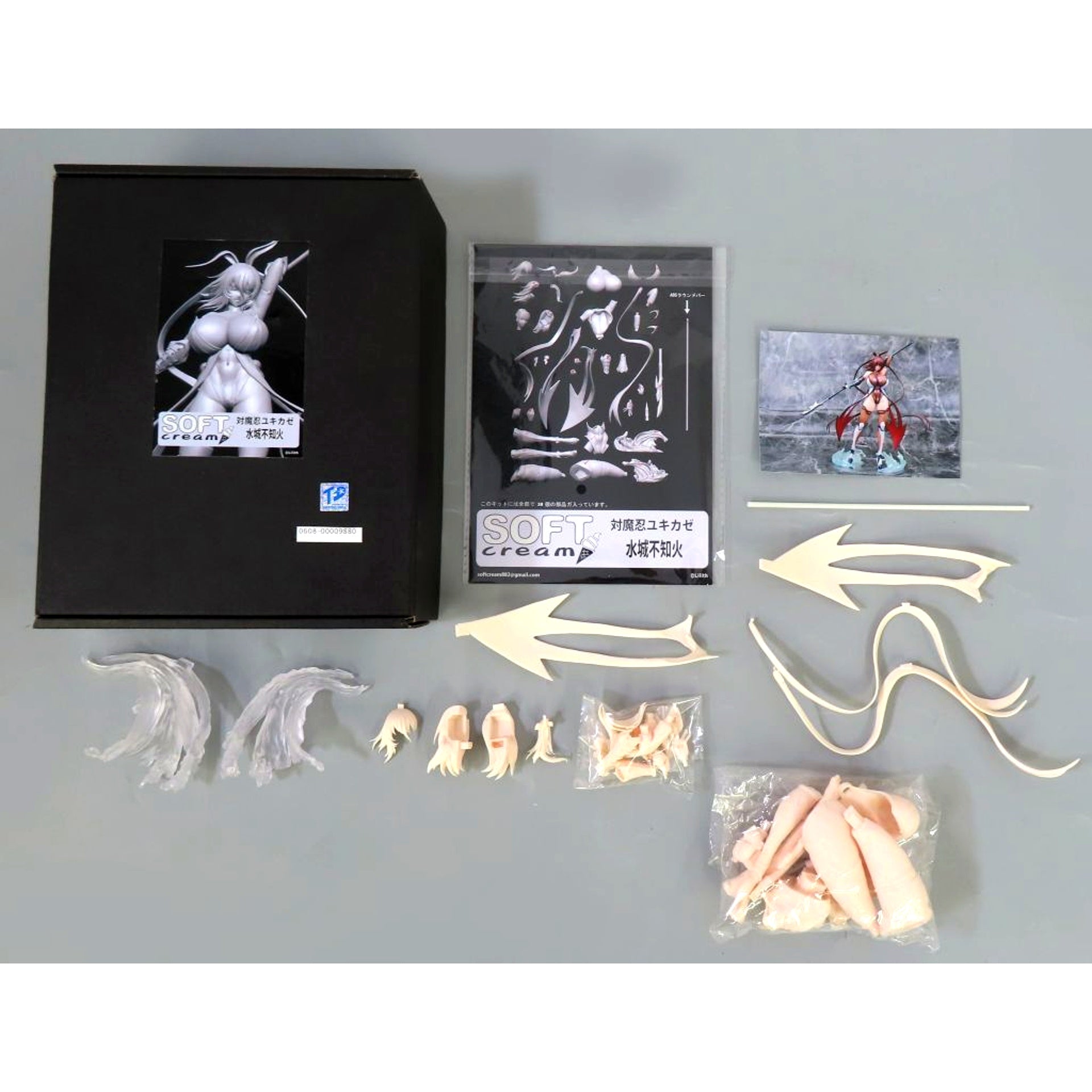 Shiranui Mizuki Taimanin Yukikaze 1/6 Garage Kit Event Limited [USED]