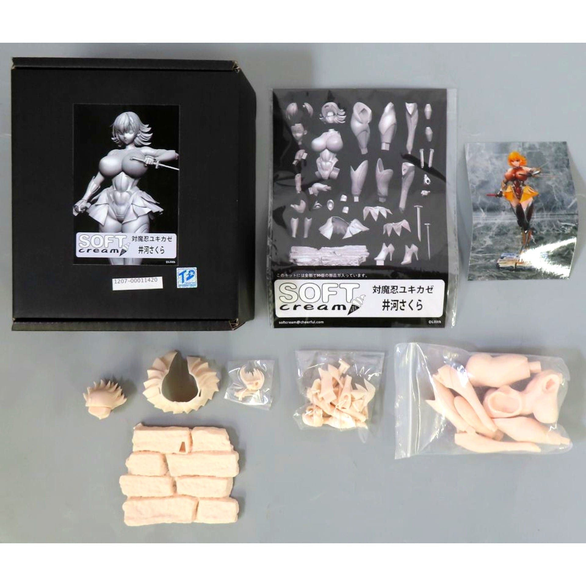 Sakura Igawa Taimanin Yukikaze 1/6 Garage Kit Event Limited [USED]