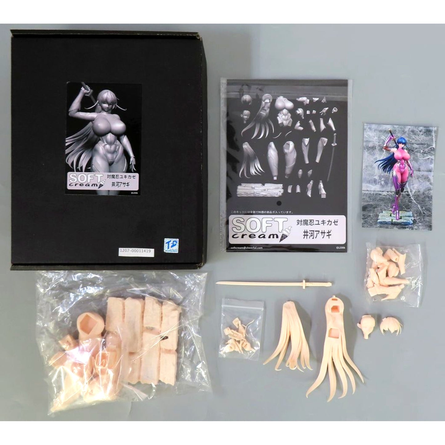 Asagi Igawa Taimanin Yukikaze 1/6 Garage Kit Event Limited [USED]