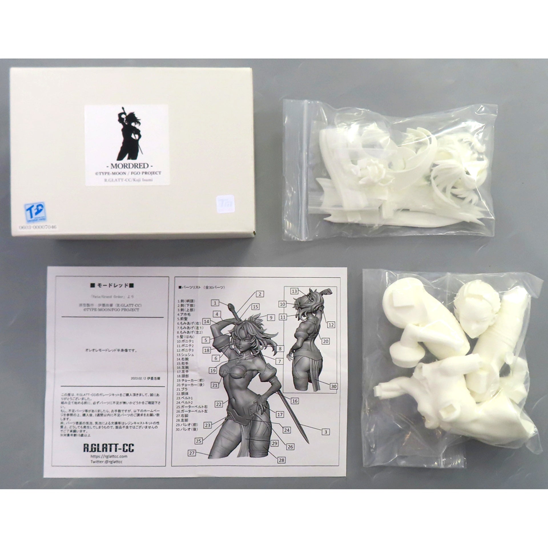 Mordred Fate/Grand Order Garage Kit Wonder Festival 2023 Winter Event Limited [USED]