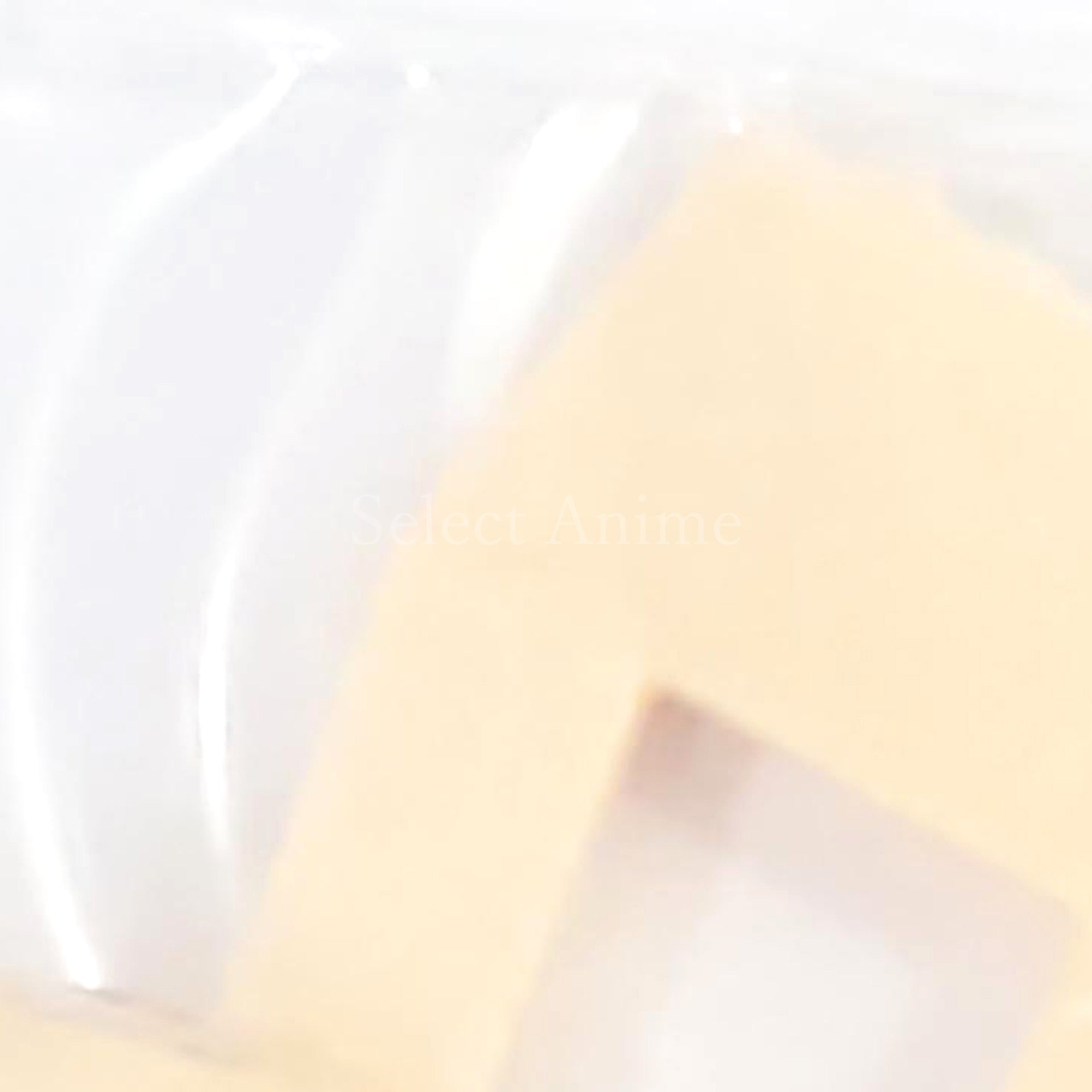 Susanowo Abdomen Megami Device Detail Up Parts Color Resin Cast Kit Limited Distribution Items for Youtube Channel Subscribers Plastic Model [USED]