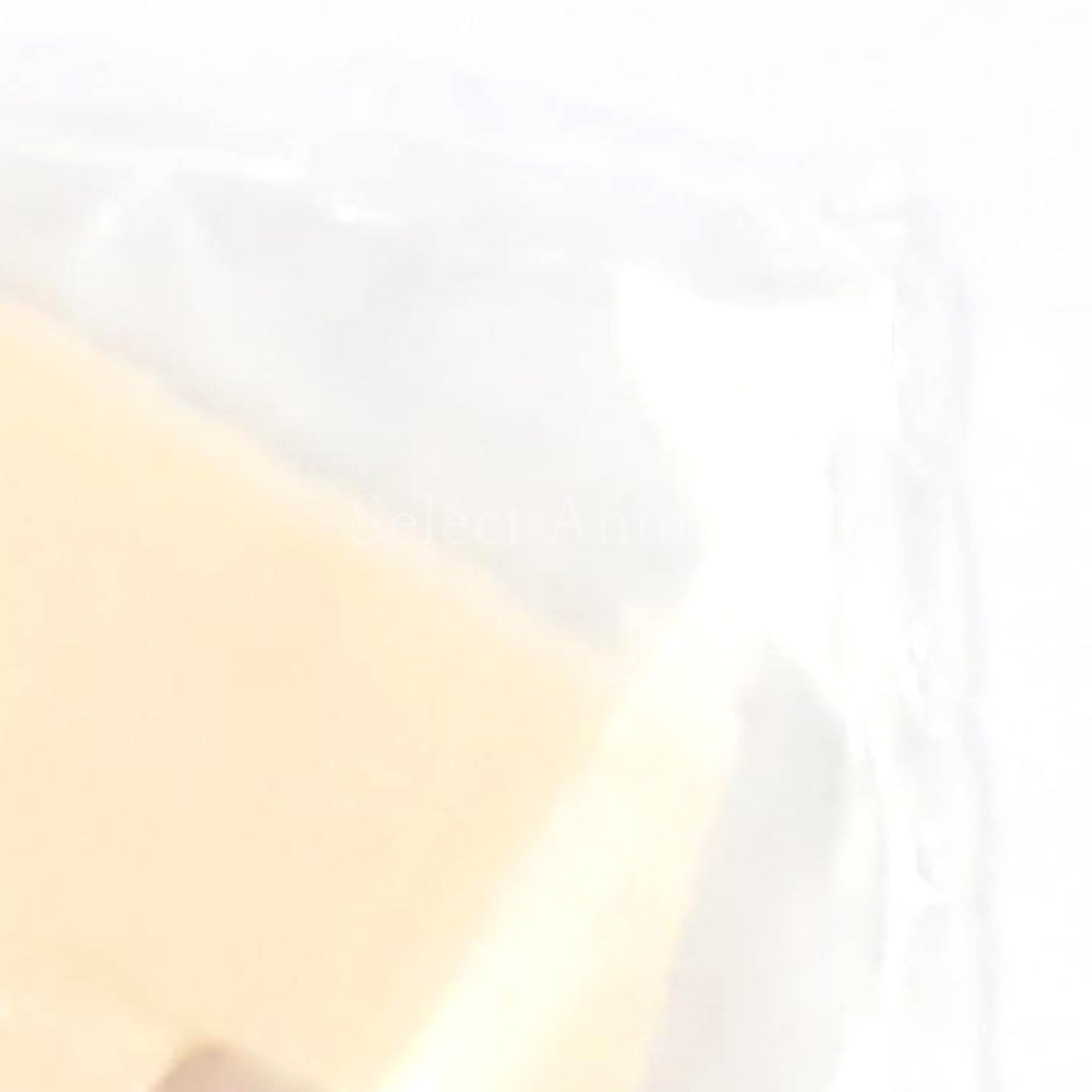 Susanowo Abdomen Megami Device Detail Up Parts Color Resin Cast Kit Limited Distribution Items for Youtube Channel Subscribers Plastic Model [USED]