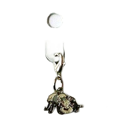 Durant Pokemon National Pokedex Metal Charm Pokemon Center Limited Charm [USED]
