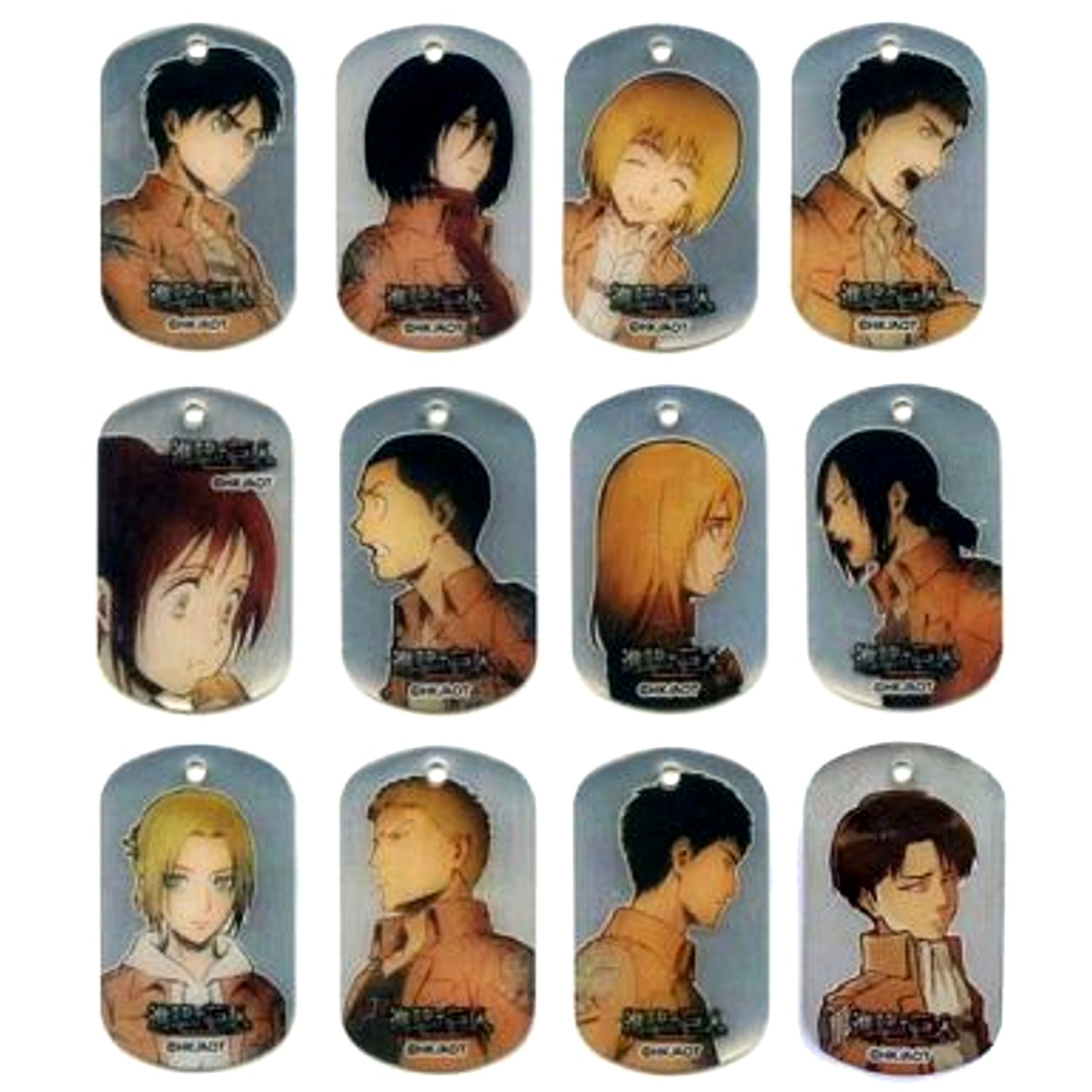 Set of 12 Attack on Titan Metal Dog Tag [USED]