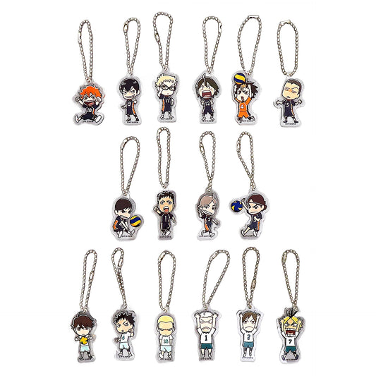 Shoyo Hinata, etc. Haikyu!! Acrylic Charms J-World Spring High School Preliminaries2 Limited All 16 Types Set Charm [USED]
