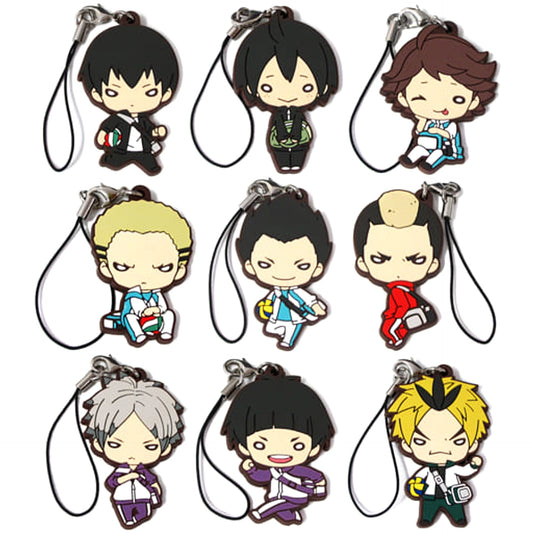 Haikyu!! Tobio Kageyama & Others Nitotan Tracksuit Vol.2 Rubber Mascot All 9 Types Set Keychains [USED]