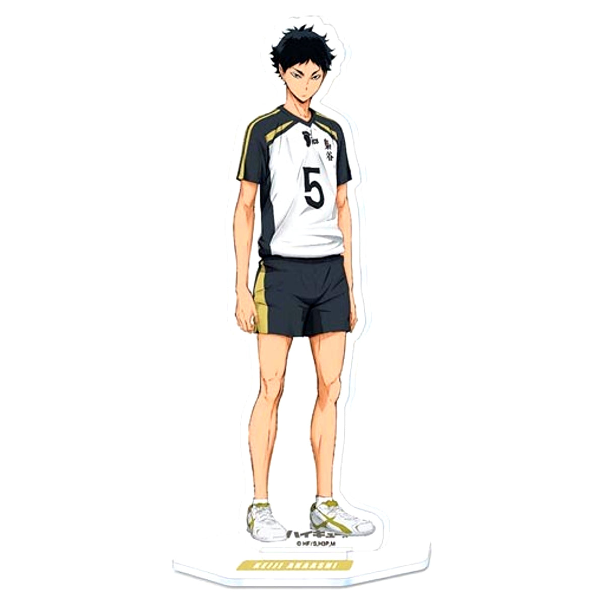 Keiji Akaashi 8. Haikyu!! Acrylic Stand [USED]