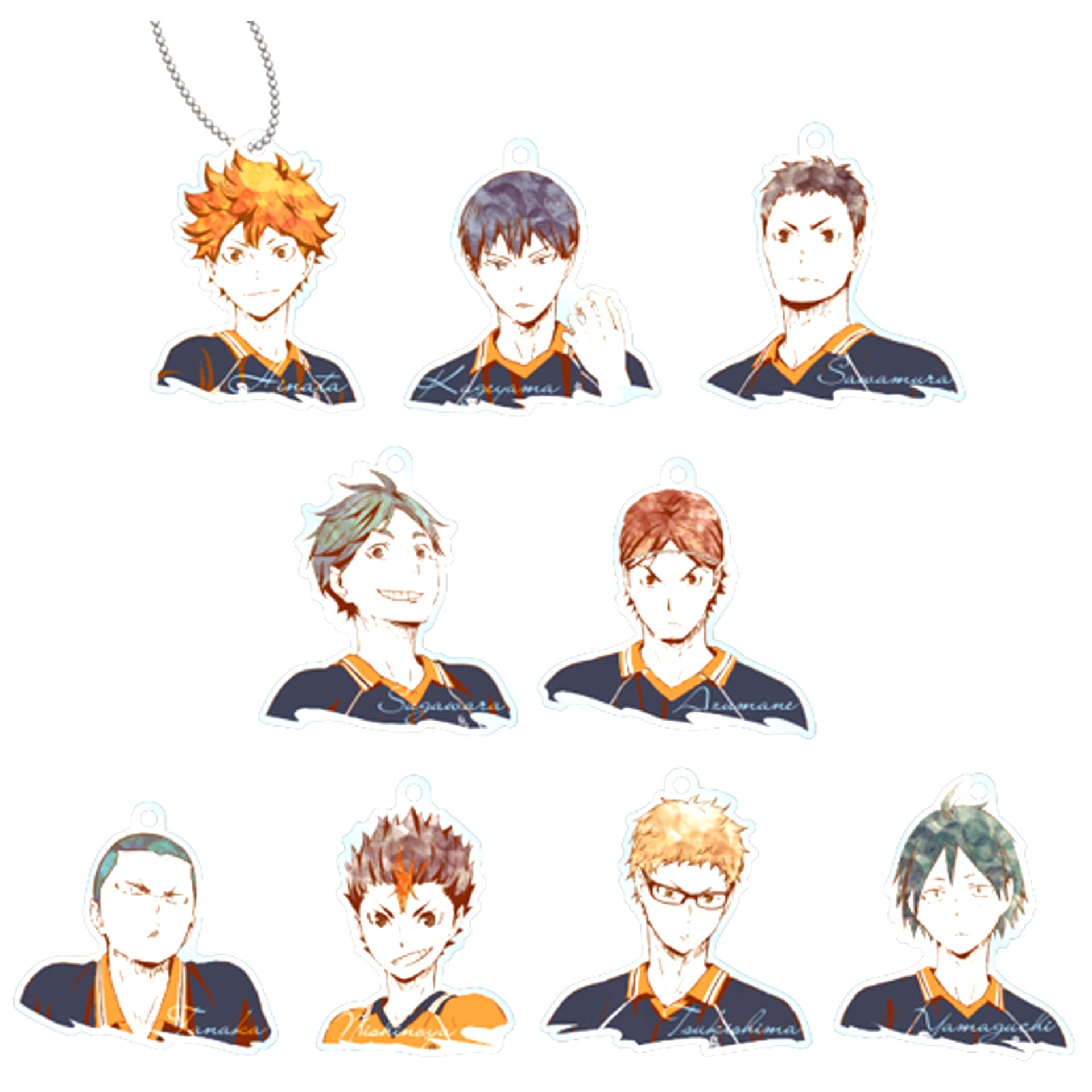 Set of 9 Haikyu!! Trading Ani-Art Acrylic Keychain Ver.A [USED]