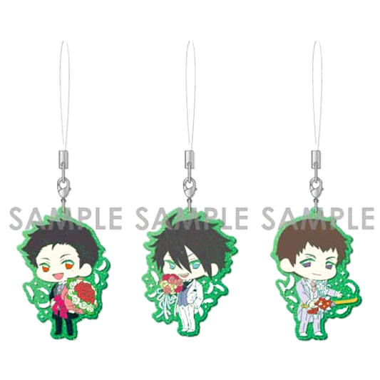 Wedding Mission! The Idolm@ster SideM Clear Rubber Strap Set Set of 3 [USED]