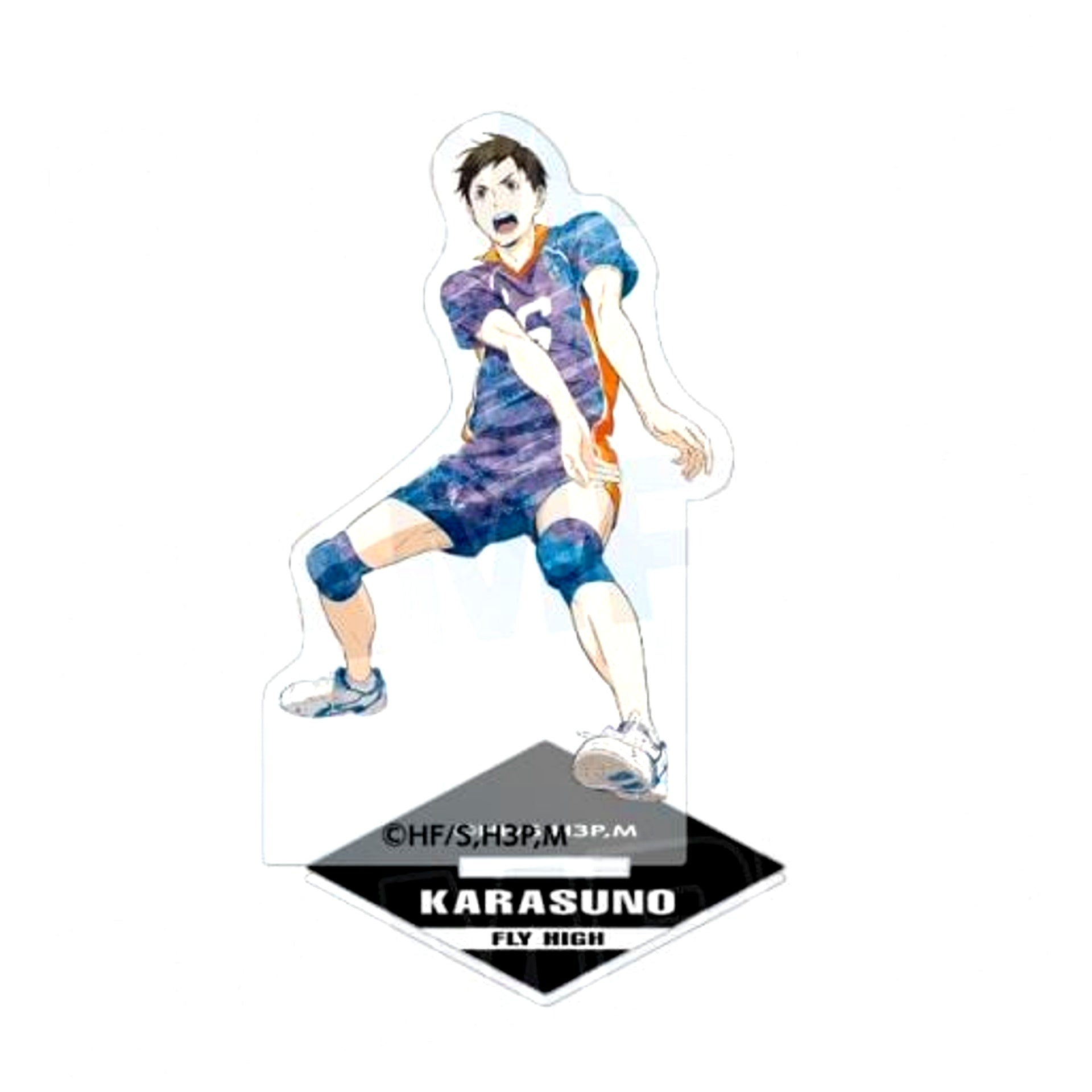 Chikara Ennoshita Haikyu!! Trading Ani-Art Acrylic Stand Vol. 3 [USED]