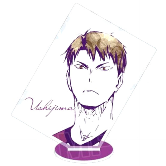 Wakatoshi Ushijima Haikyu!! Trading Ani-Art Acrylic Stand Ver.B [USED]