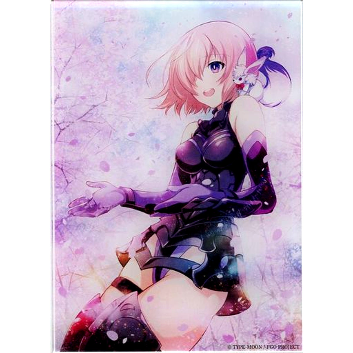 Mash Kyrielight & Fou Single Bundle Acrylic Stand Anime Mook Fate/Grand Order Trailers Trail I created by A-1 Pictures ANIPLEX+ Limited Bundle Edition Bonus [USED]