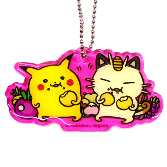 Pikachu & Meowth Pokemon 24 Hours Pokemon CHU Acrylic Charm Collection Pokemon Center Limited [USED]