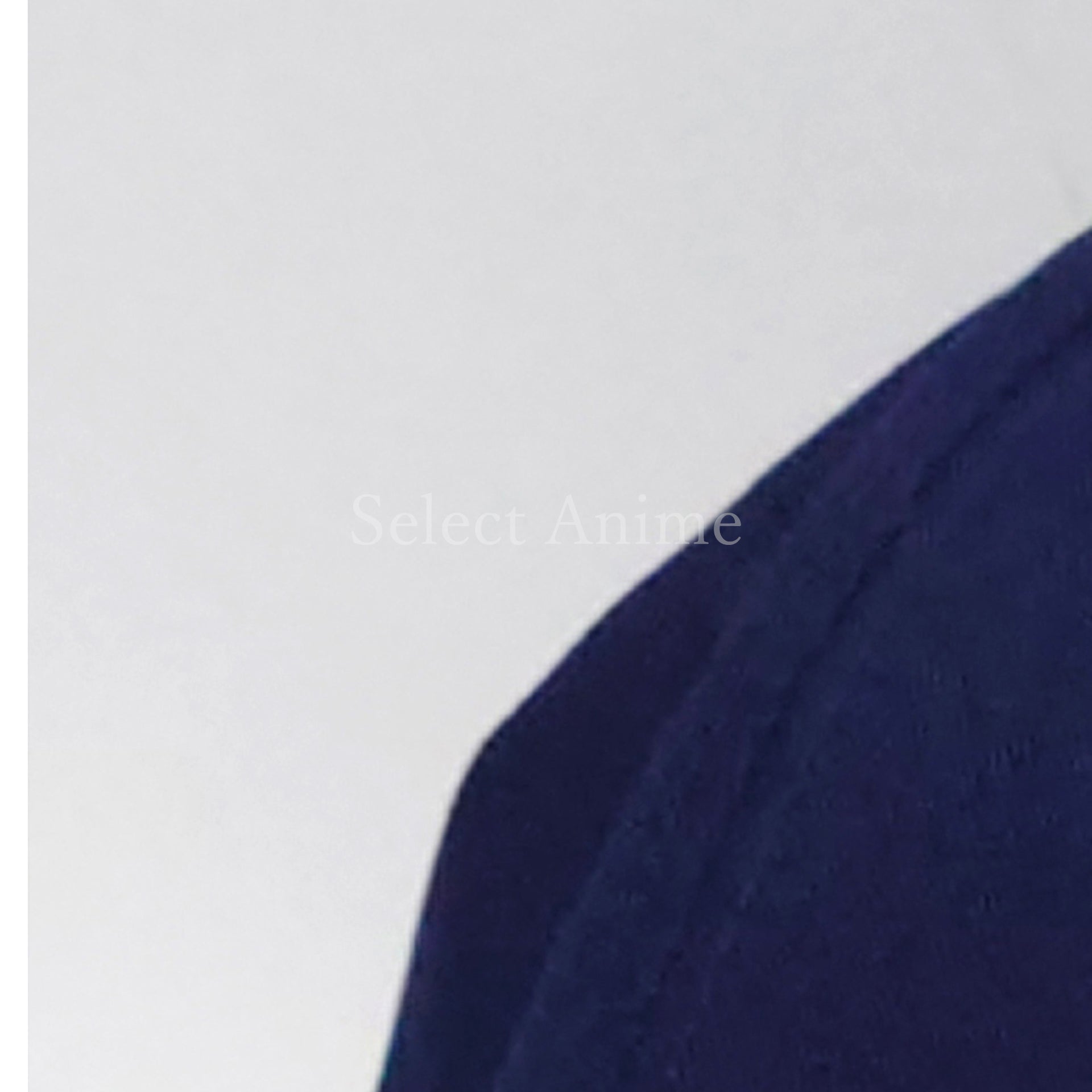 Minato Aqua Vtuber Hololive Neko Cap Navy Birthday Anniversary 2021 Limited Cap/Hat [USED]