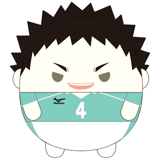 Hajime Iwaizumi Haikyu!! Fuwakororin Big BIG7 [USED]
