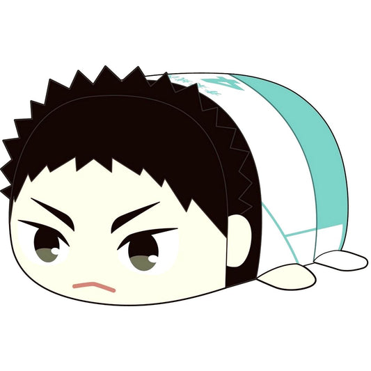 Hajime Iwaizumi Haikyu!! Potekoro Mascot Plush M Size [USED]