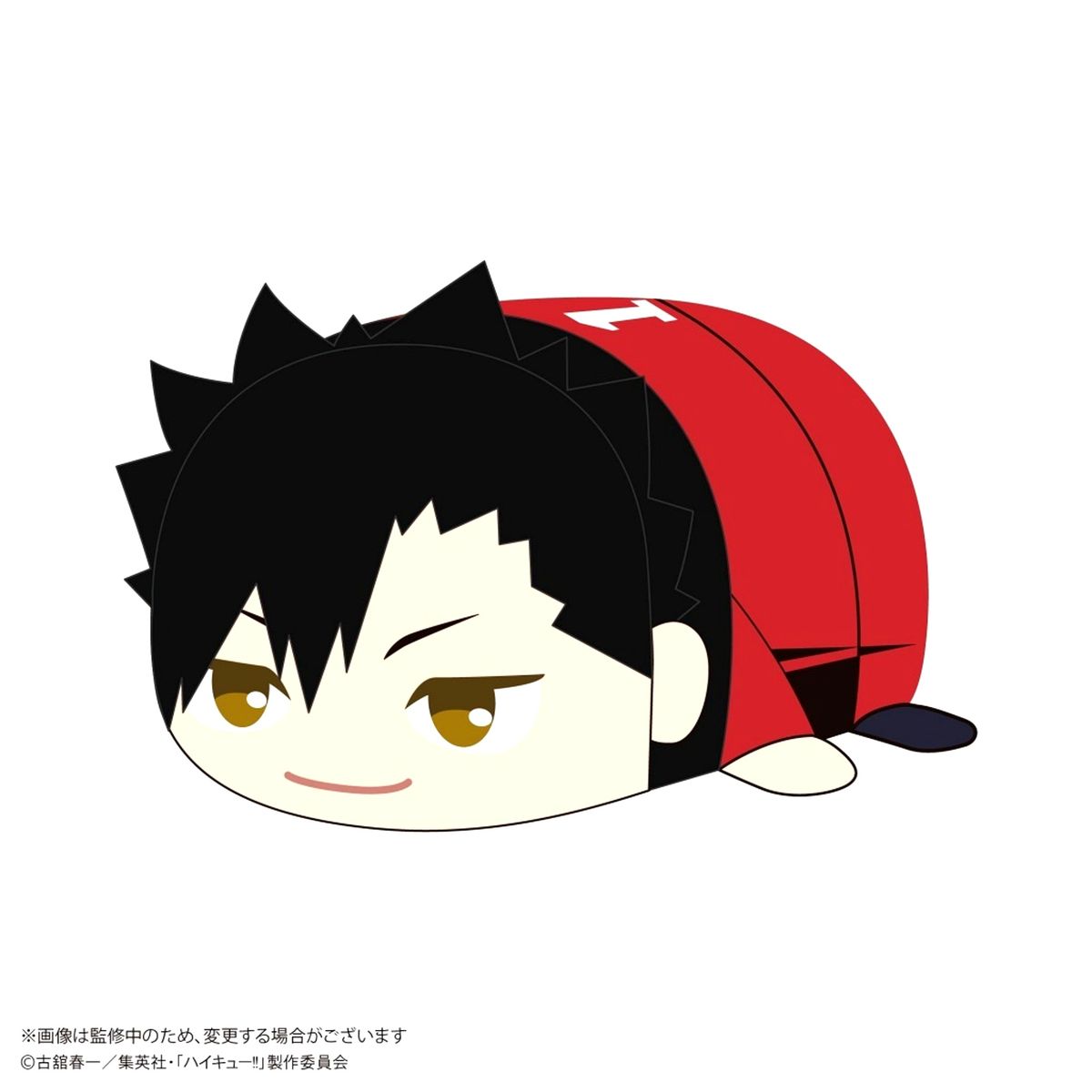 Tetsuro Kuroo Haikyu!! Potekoro Mascot M Size 2 Plush Toy [USED]