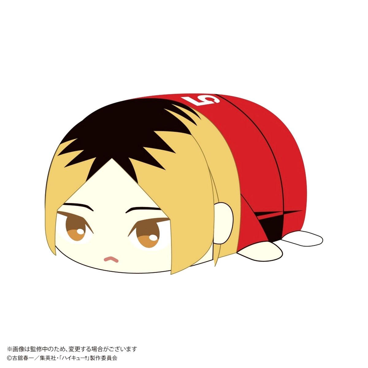Kenma Kozume Haikyu!! Potekoro Mascot M Size 2 Plush Toy [USED]