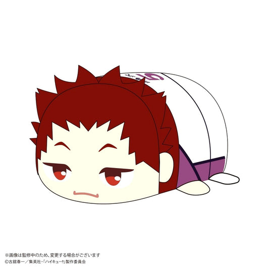 Satori Tendo Haikyu!! Potekoro Mascot M Size 2 Plush [USED]