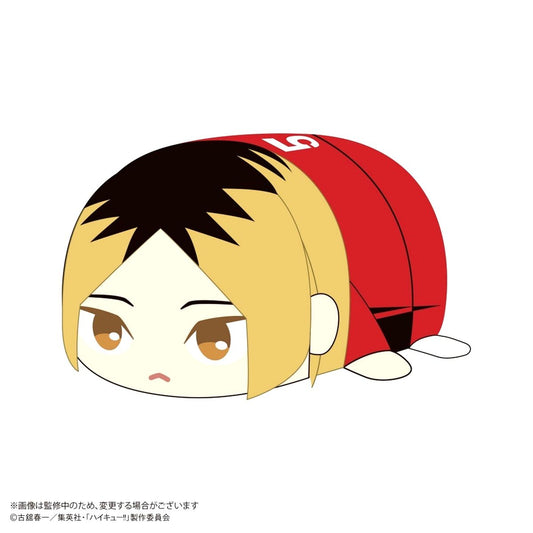 Kenma Kozume Haikyu!! Potekoro Mascot Big 2 Plush [USED]