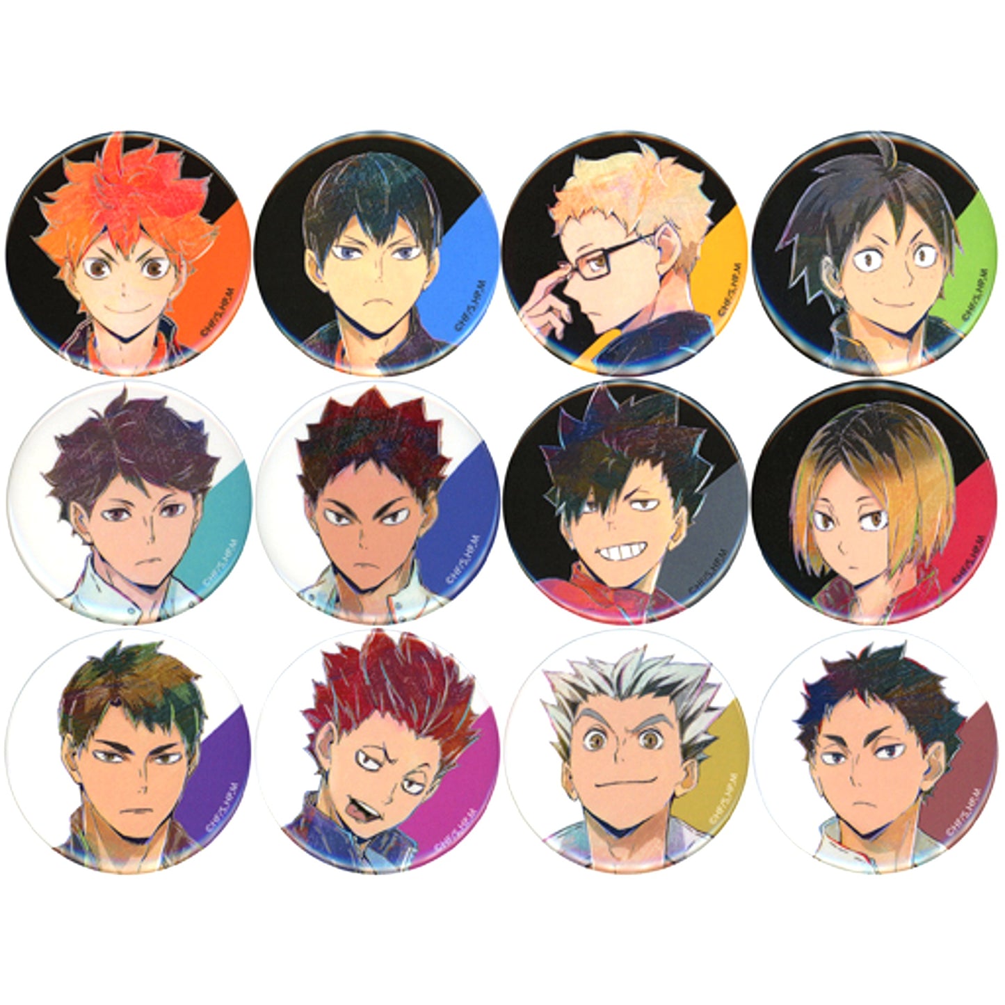 Set of 12 Haikyu!! TO THE TOP Trading Ani-Art Vol. 5 Button [USED]