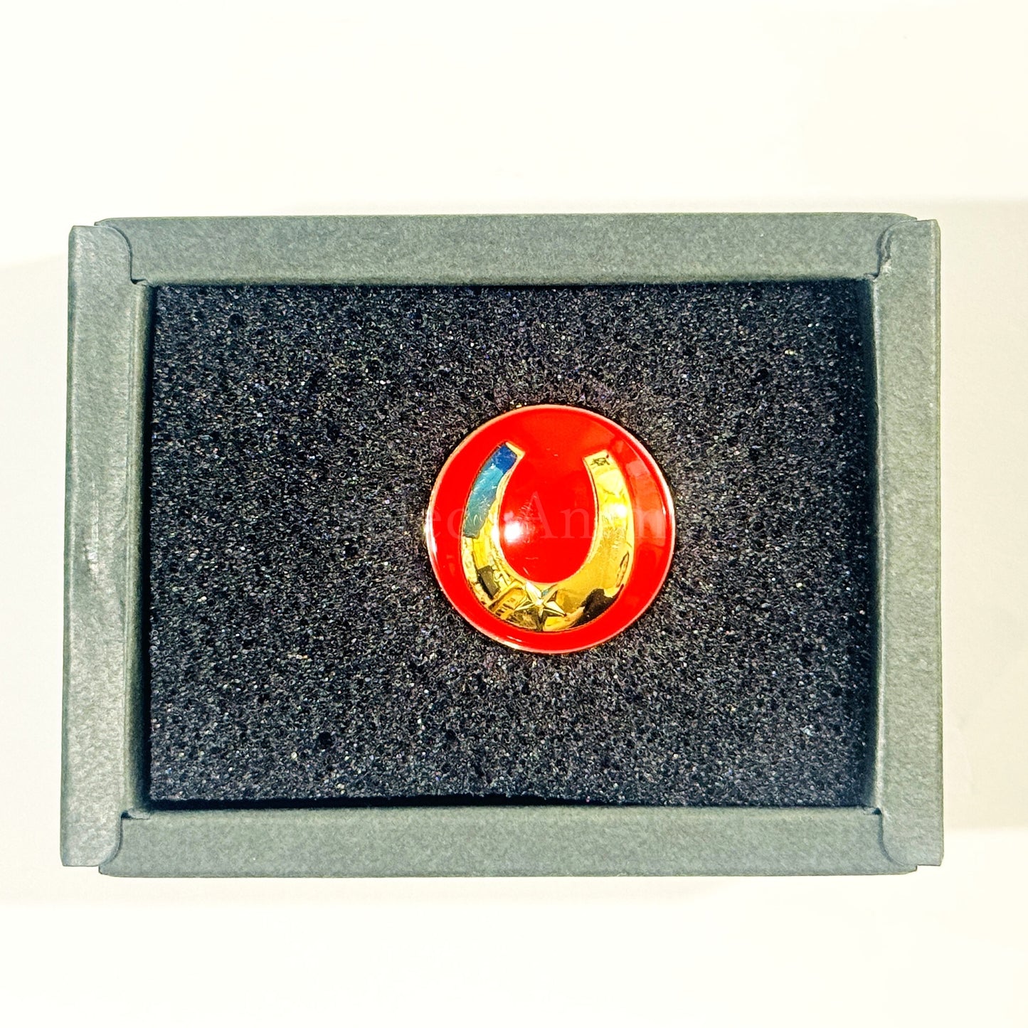 Horseshoe Design Uma Musume Pretty Derby Official Pin Button Gold Ver. 3rd EVENT WINNING DREAM STAGE [USED]
